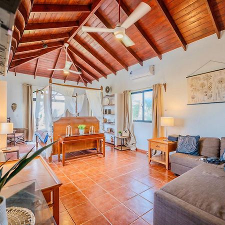 Palm House - Luxury Villa - Samana - Ocean Front Sánchez エクステリア 写真