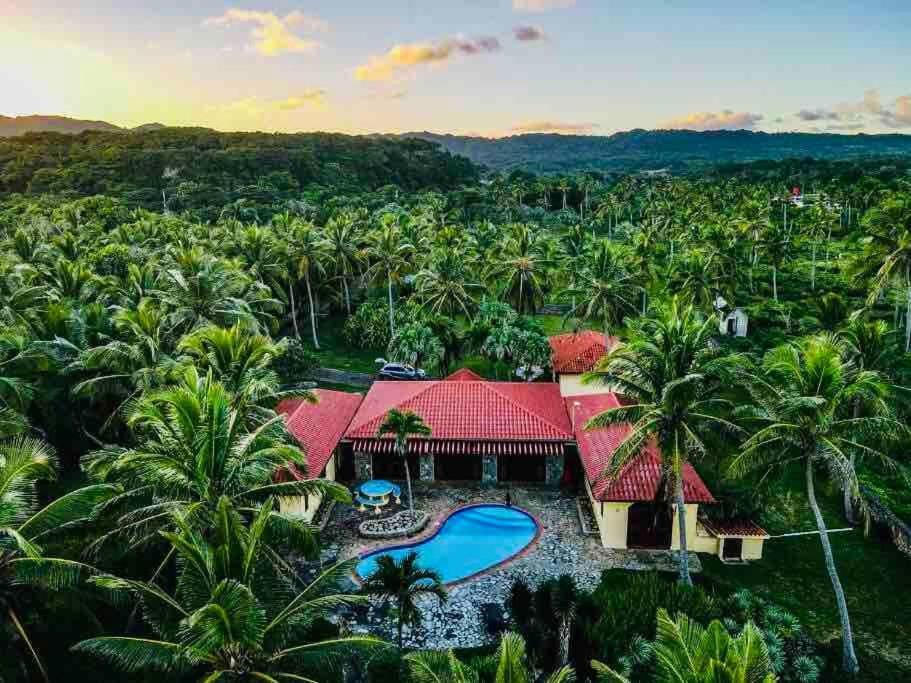 Palm House - Luxury Villa - Samana - Ocean Front Sánchez エクステリア 写真
