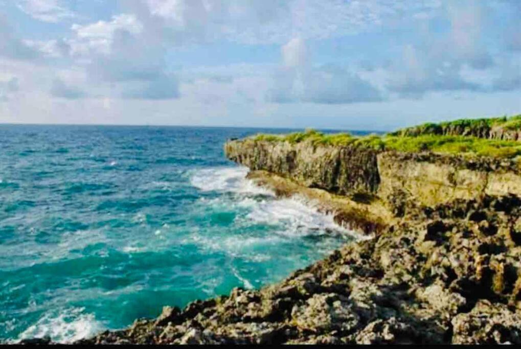 Palm House - Luxury Villa - Samana - Ocean Front Sánchez エクステリア 写真