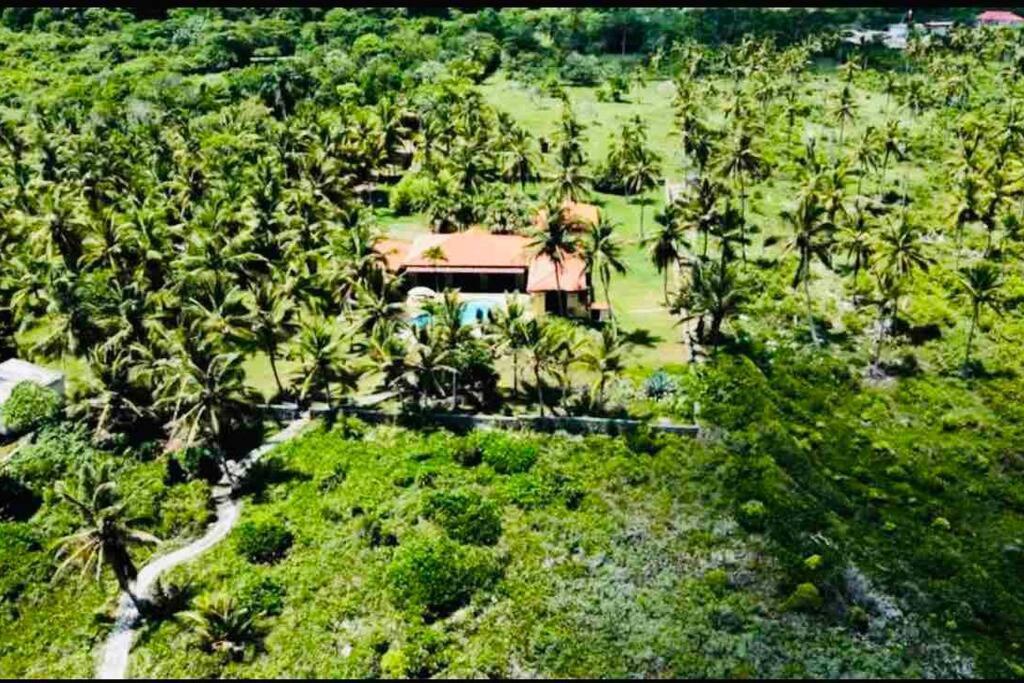 Palm House - Luxury Villa - Samana - Ocean Front Sánchez エクステリア 写真