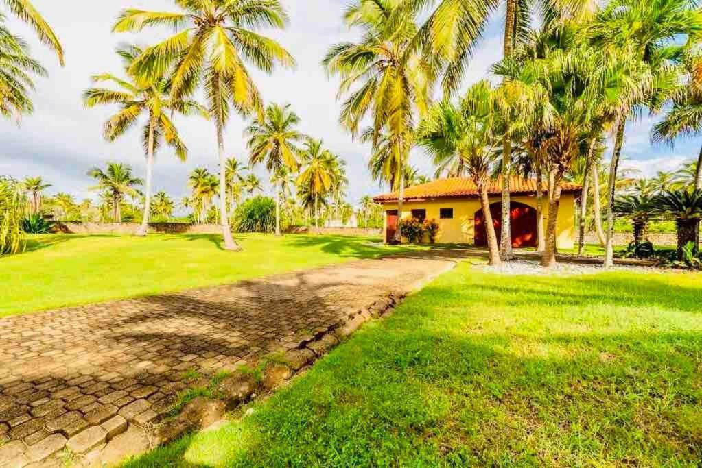 Palm House - Luxury Villa - Samana - Ocean Front Sánchez エクステリア 写真