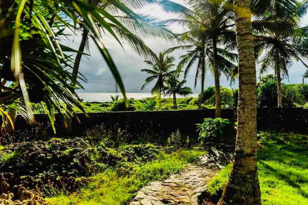 Palm House - Luxury Villa - Samana - Ocean Front Sánchez エクステリア 写真