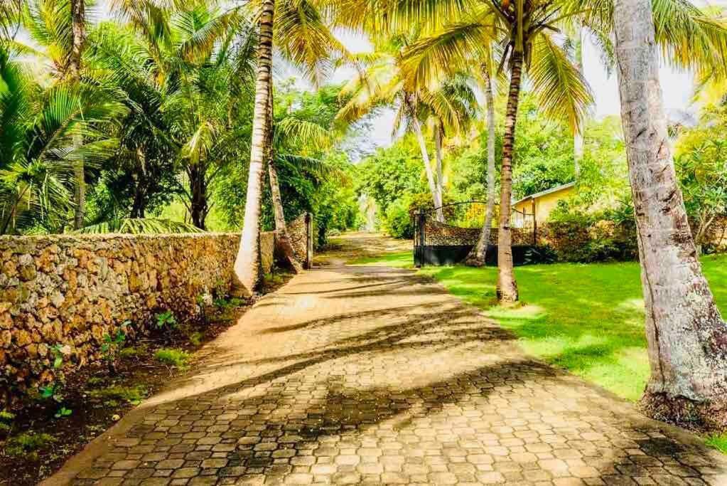 Palm House - Luxury Villa - Samana - Ocean Front Sánchez エクステリア 写真