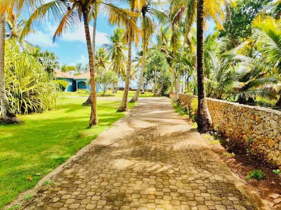 Palm House - Luxury Villa - Samana - Ocean Front Sánchez エクステリア 写真