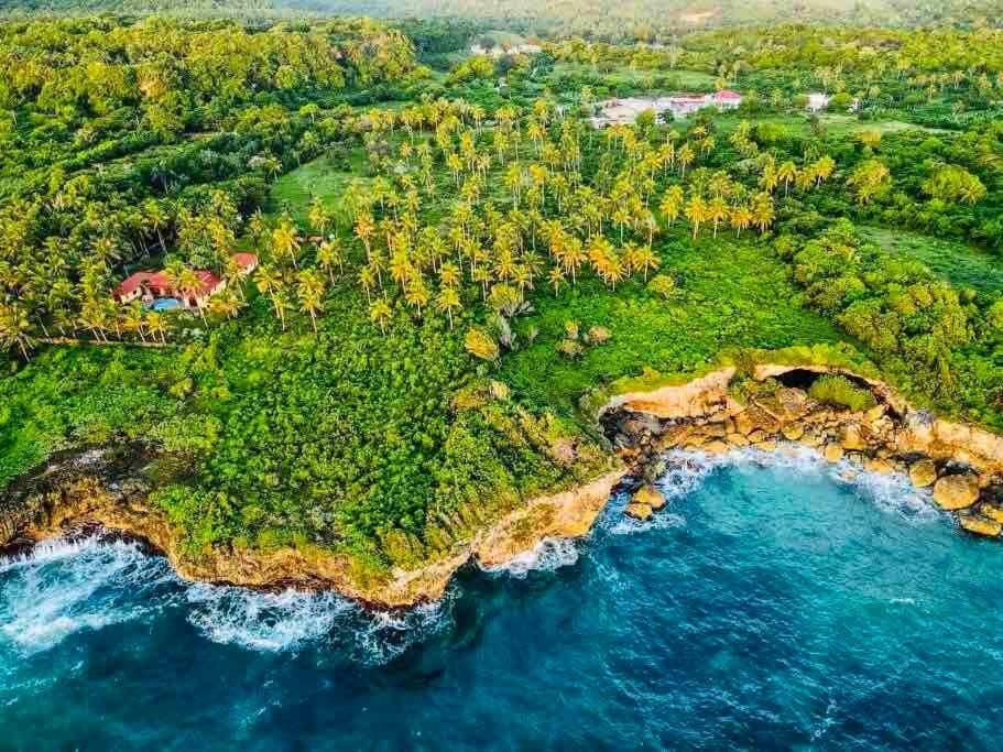 Palm House - Luxury Villa - Samana - Ocean Front Sánchez エクステリア 写真