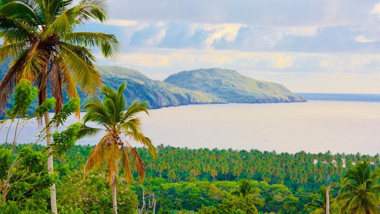 Palm House - Luxury Villa - Samana - Ocean Front Sánchez エクステリア 写真