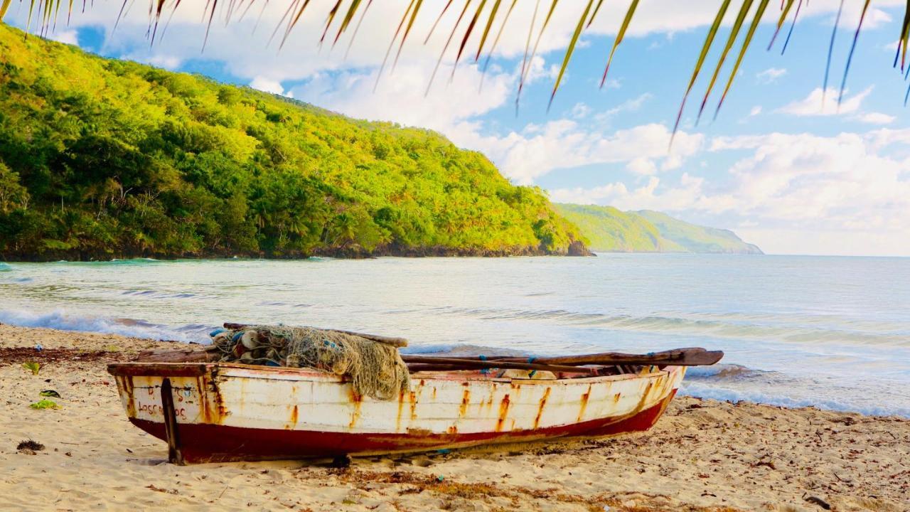 Palm House - Luxury Villa - Samana - Ocean Front Sánchez エクステリア 写真