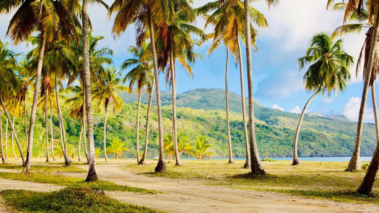 Palm House - Luxury Villa - Samana - Ocean Front Sánchez エクステリア 写真