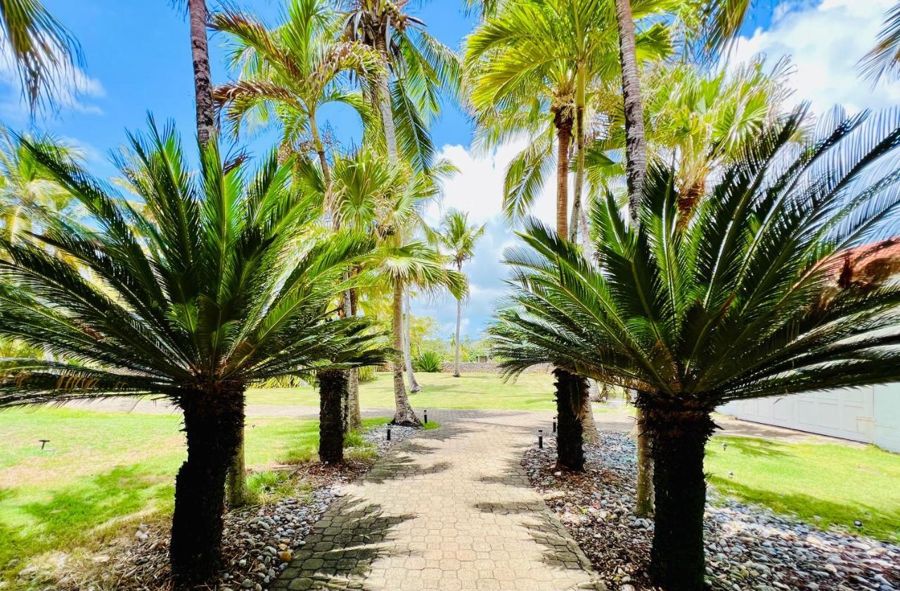 Palm House - Luxury Villa - Samana - Ocean Front Sánchez エクステリア 写真