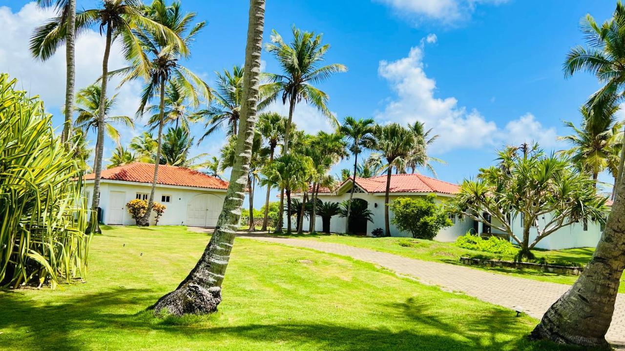 Palm House - Luxury Villa - Samana - Ocean Front Sánchez エクステリア 写真