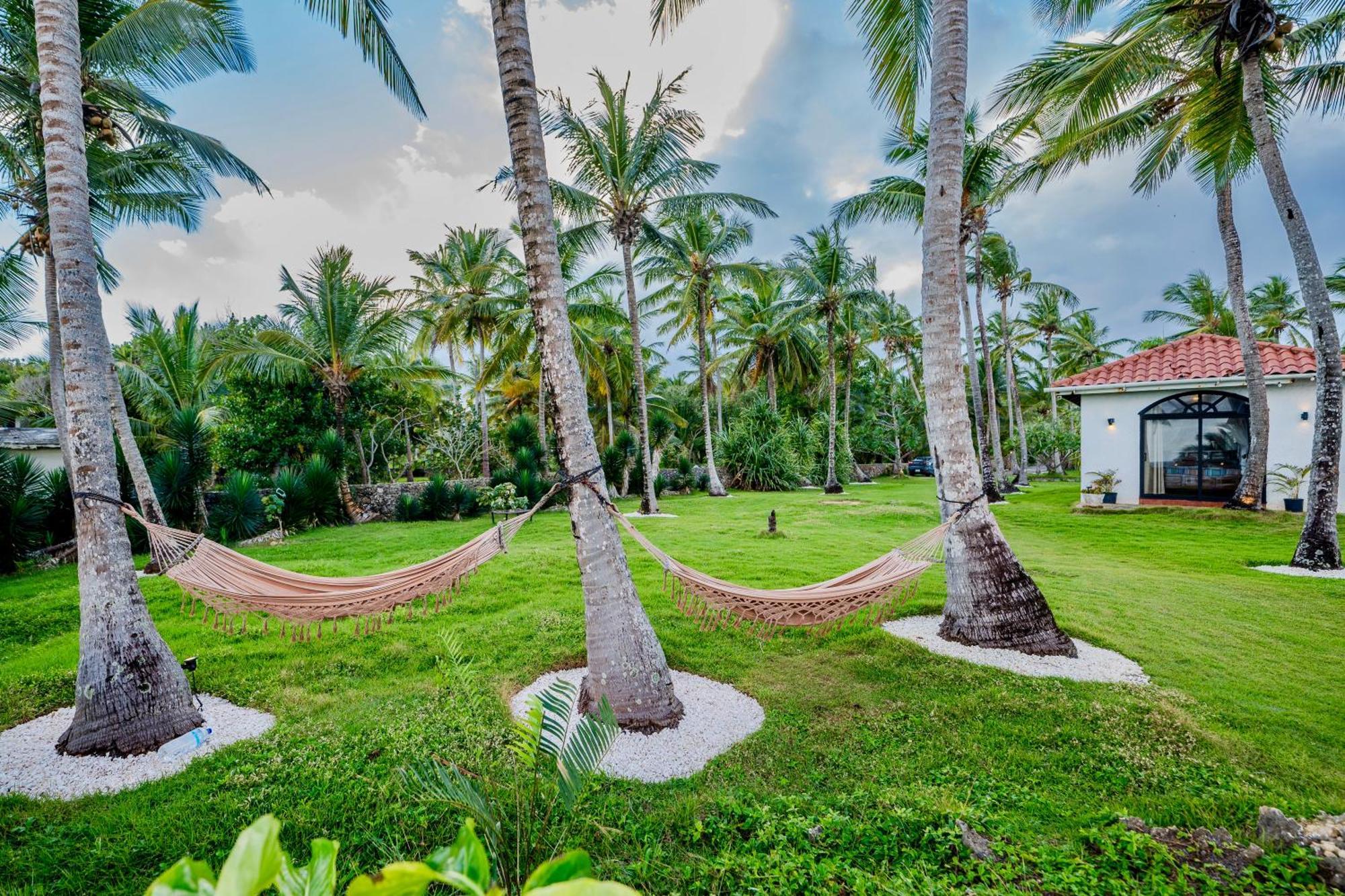 Palm House - Luxury Villa - Samana - Ocean Front Sánchez エクステリア 写真