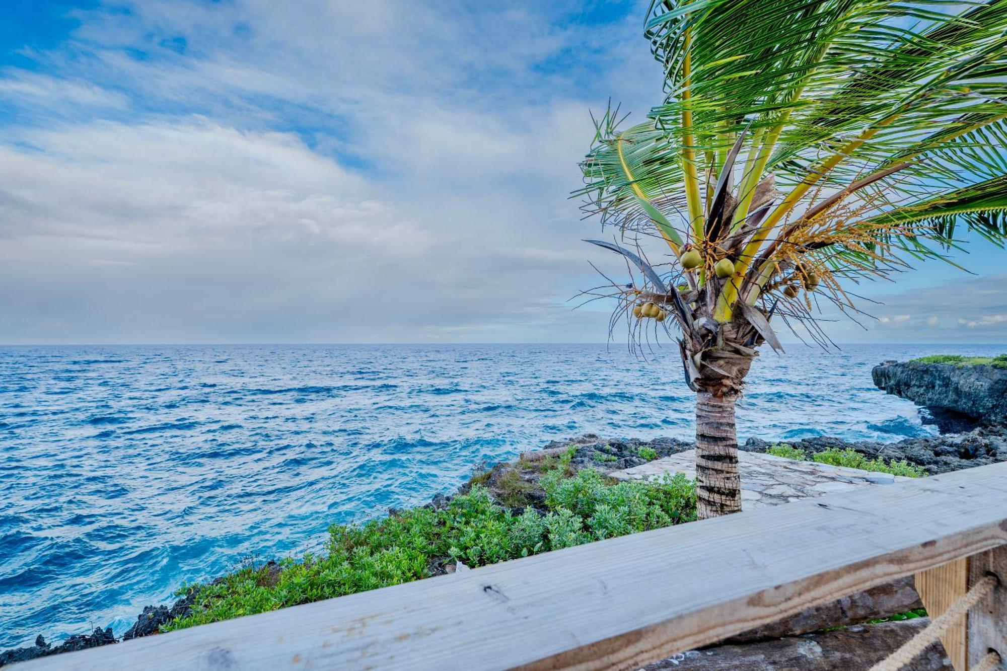 Palm House - Luxury Villa - Samana - Ocean Front Sánchez エクステリア 写真