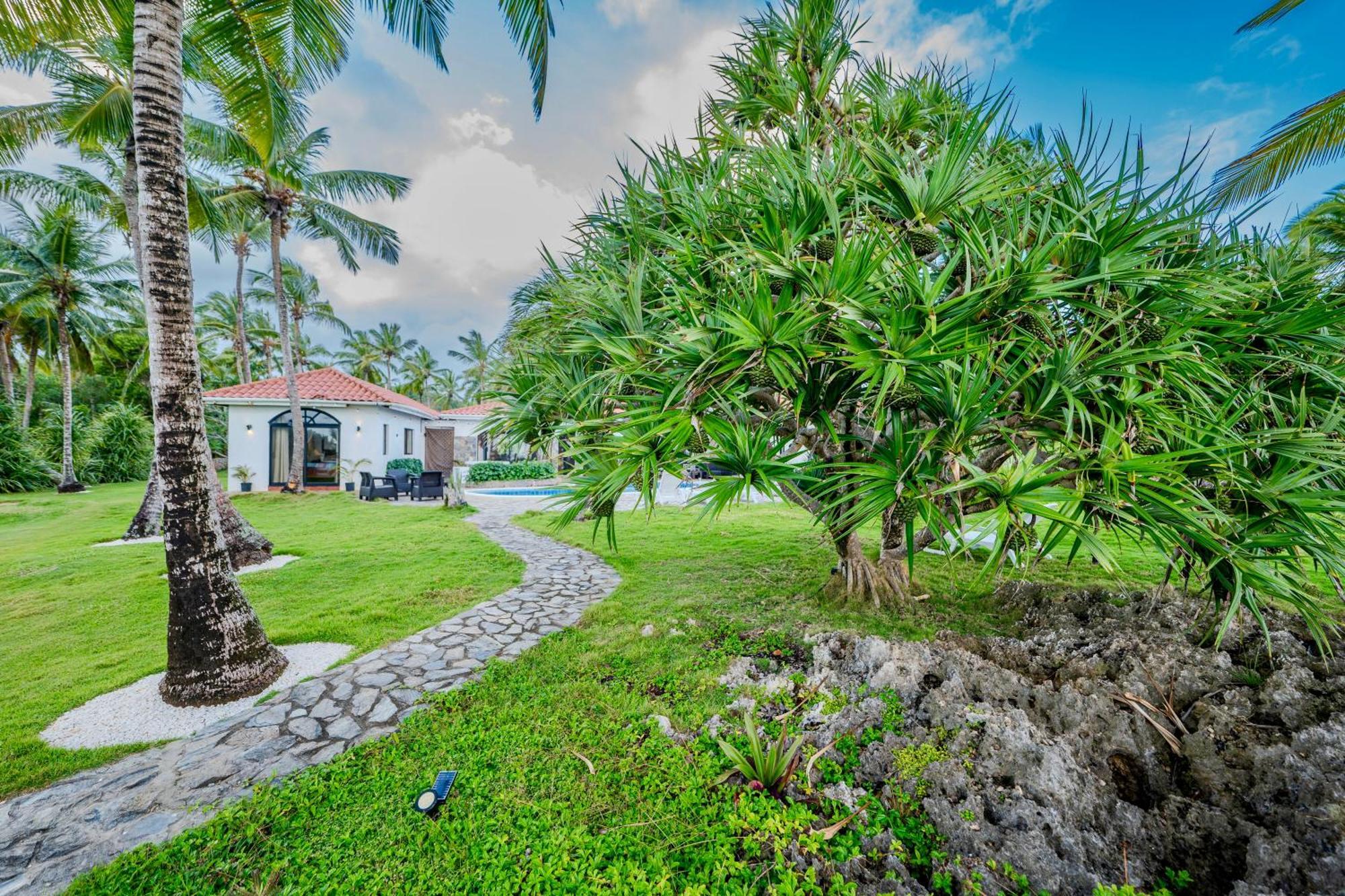 Palm House - Luxury Villa - Samana - Ocean Front Sánchez エクステリア 写真